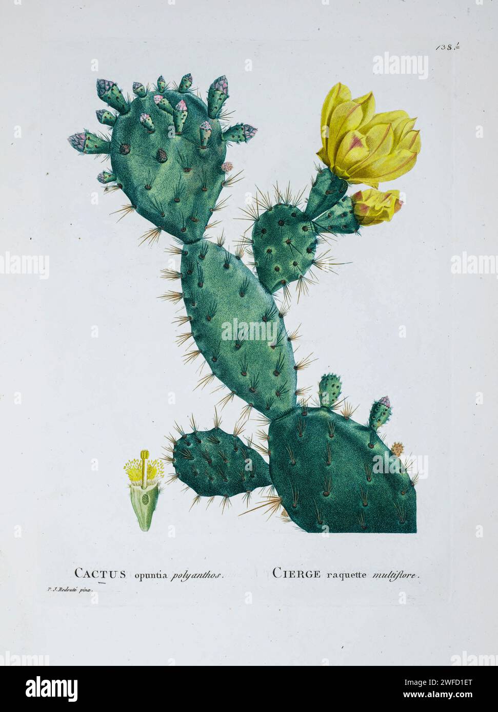 Historia de jamaica hires stock photography and images Alamy