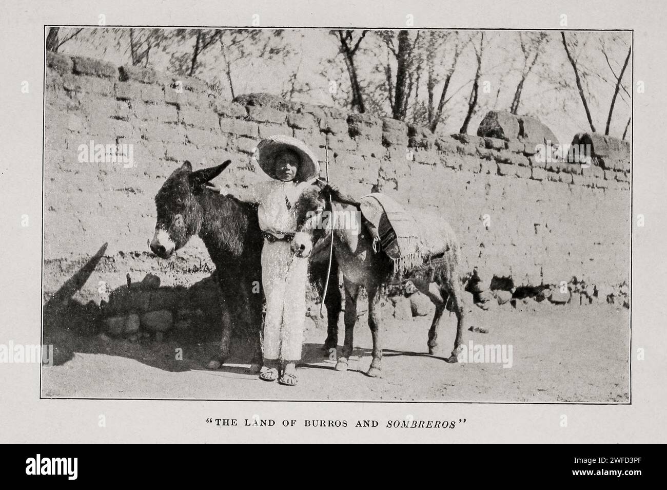 The Land of Burros and Sombreros Mexico by Nevin Otto Winter Stock Photo