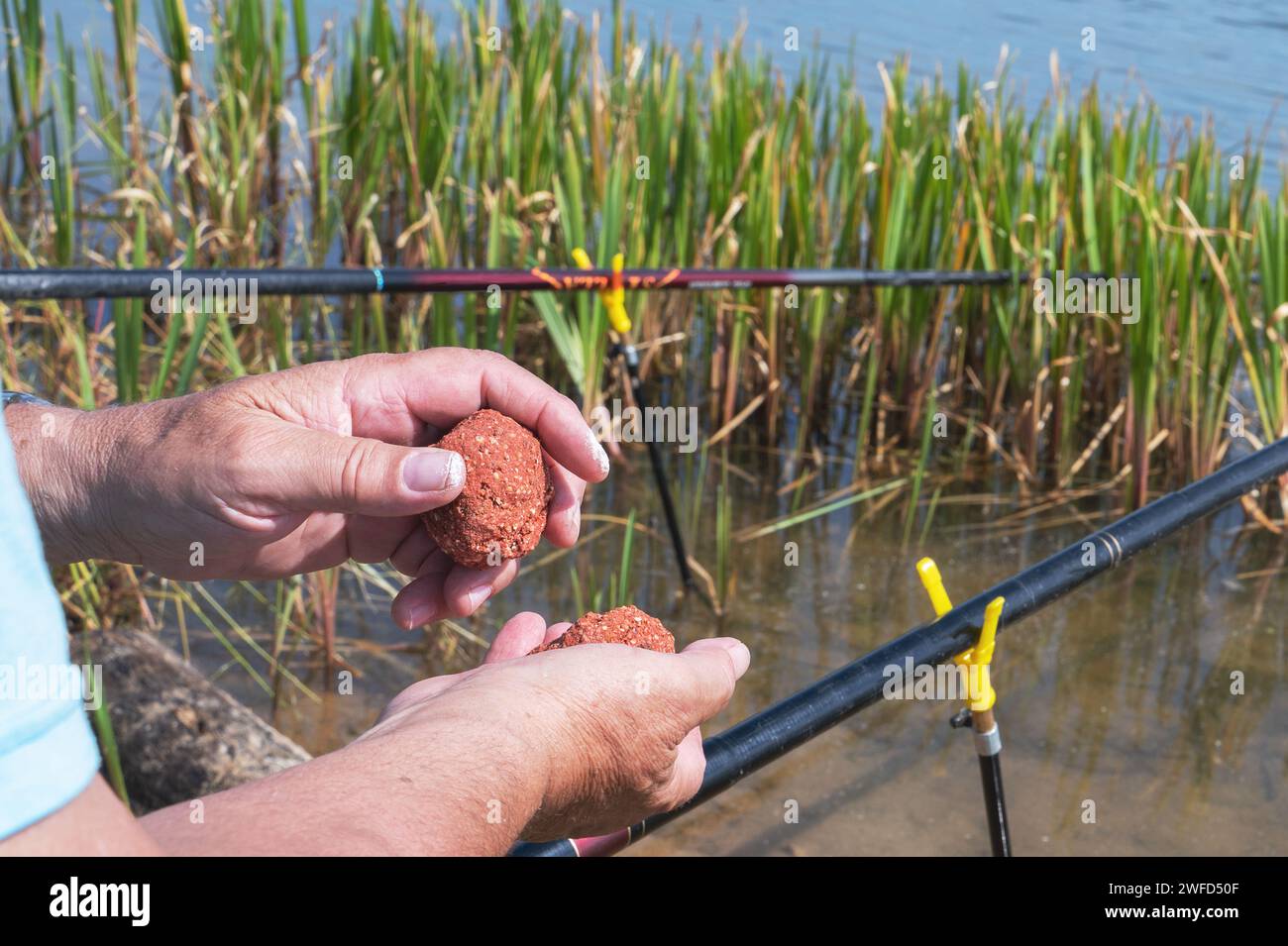Small sweet red balls in the fisherman's hand, carp fishing baits