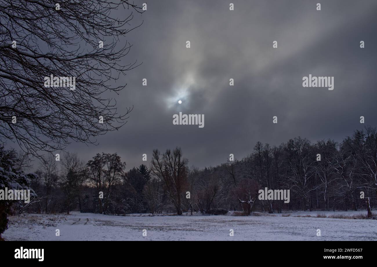 Wide-angle view of a snowy winter scenery at the edge of a forest with a cloudy veiled sun disk at the center of the image Stock Photo