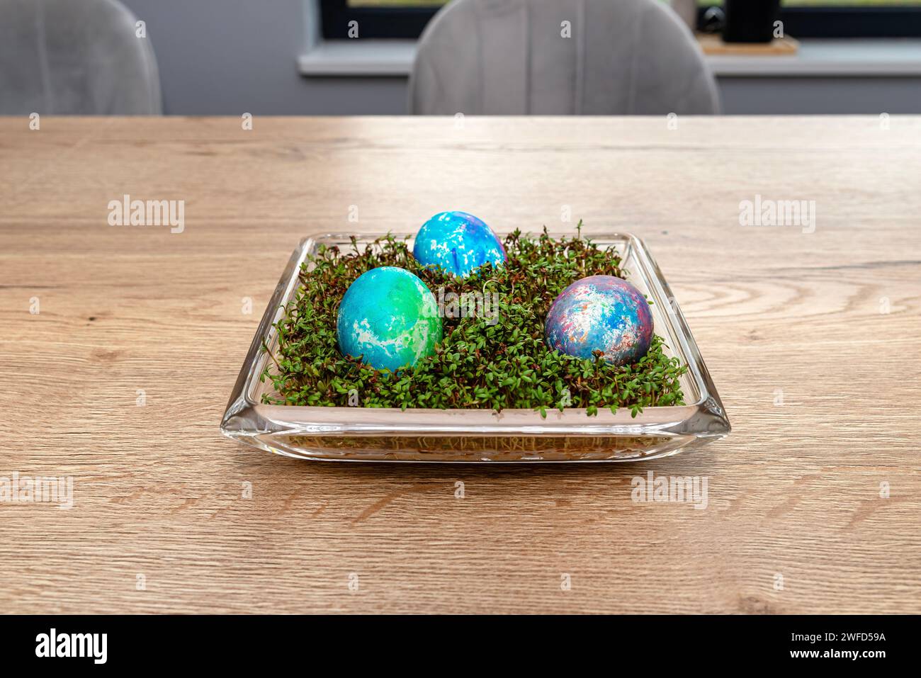 Freshly grown cress grows in a glass square bowl, colored eggs visible. Stock Photo