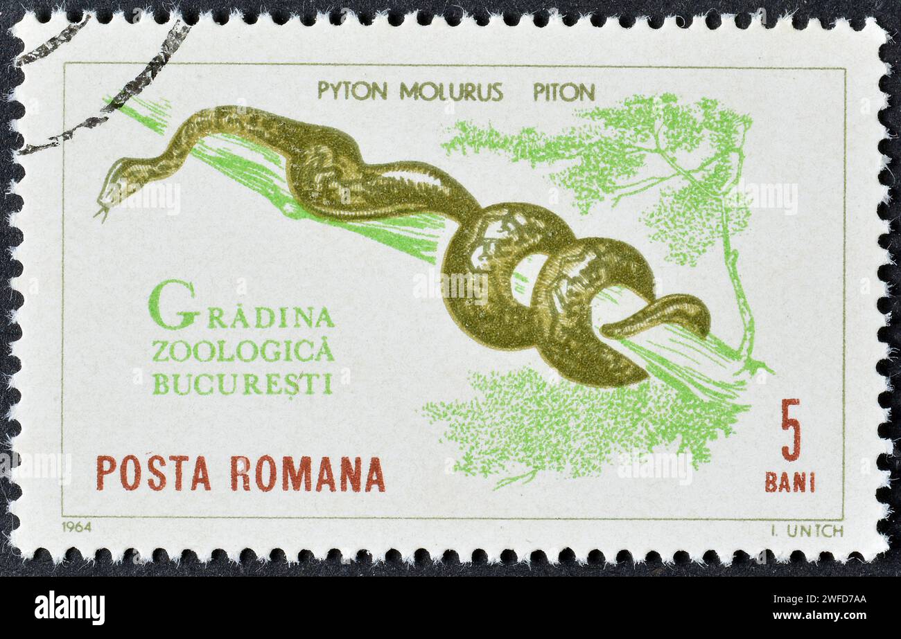 Cancelled postage stamp printed by Romania, that shows Indian Python ...