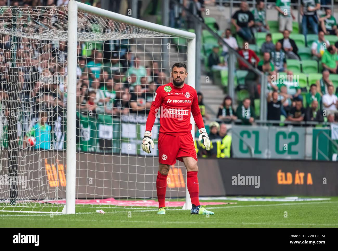 Budapest, Hungary – May 7, 2022. MTK Budapest goalkeeper Milan Mijatovic during Hungarian OTP Bank Liga Gameweek 32 match Ferencvaros vs MTK Budapest Stock Photo