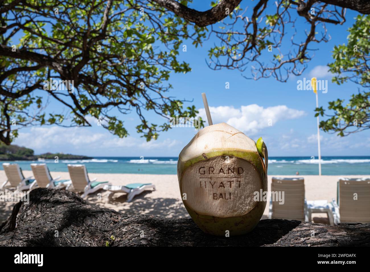 17.07.2023, Nusa Dua, Benoa, Bali, Indonesia, Asia - Fresh coconut from the Grand Hyatt Bali on the beach at Nusa Dua with a view of the sea. Stock Photo