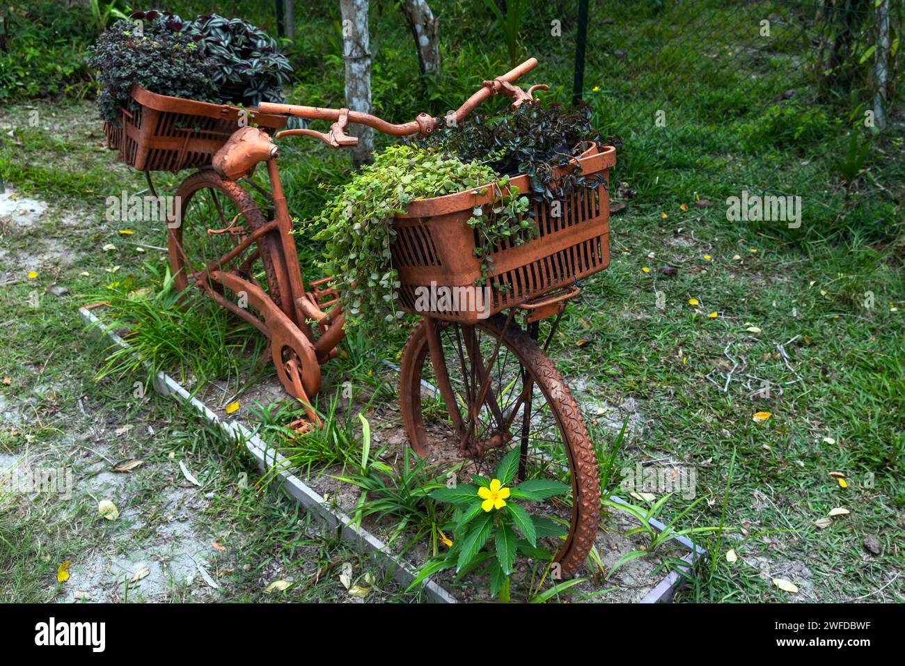 Vintage bicycle with baskes full of potted plants, close up. Park decoration object Stock Photo