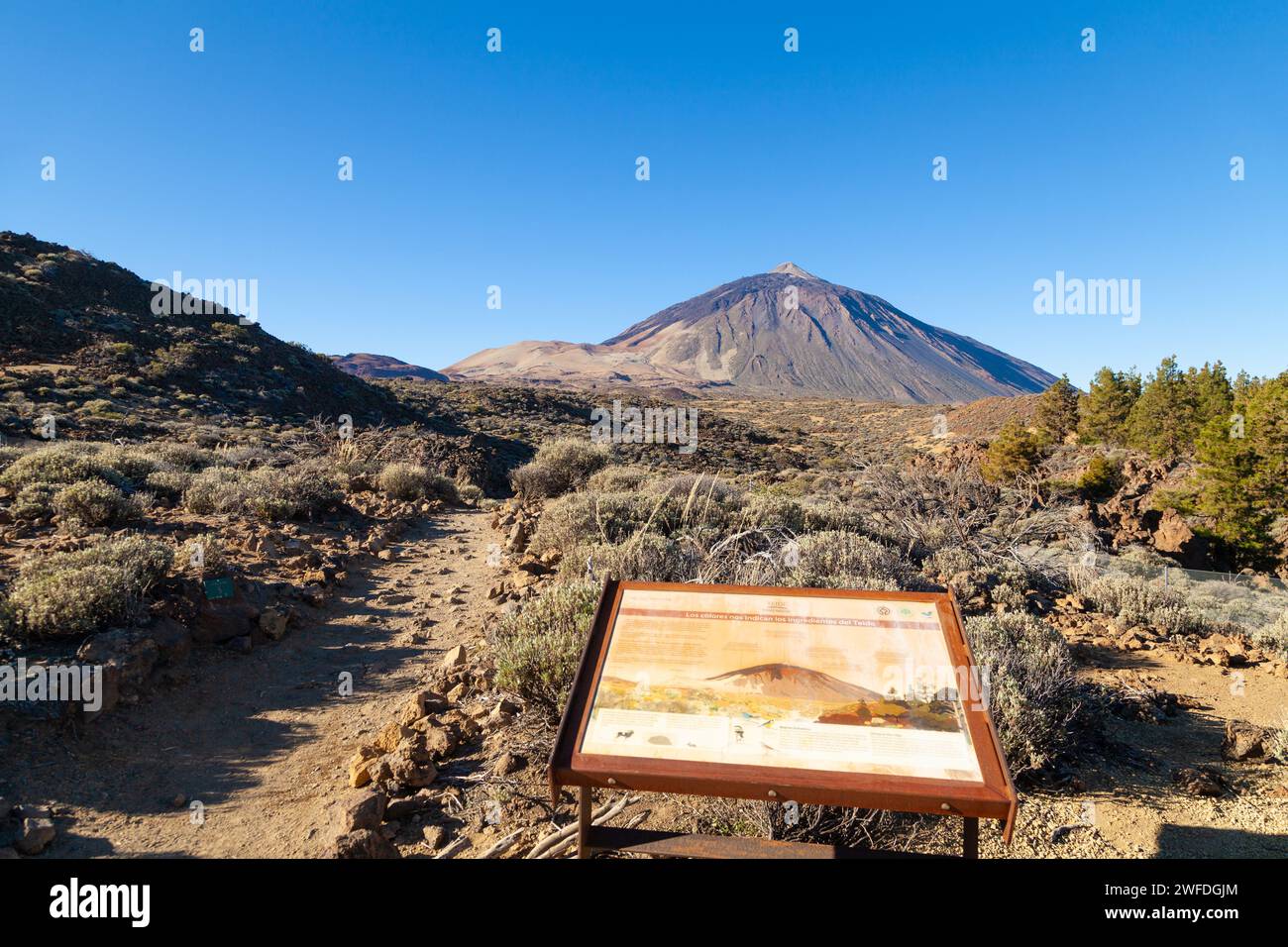 Looking towards the impressive Mount Teide the highest mountain in Spain Stock Photo