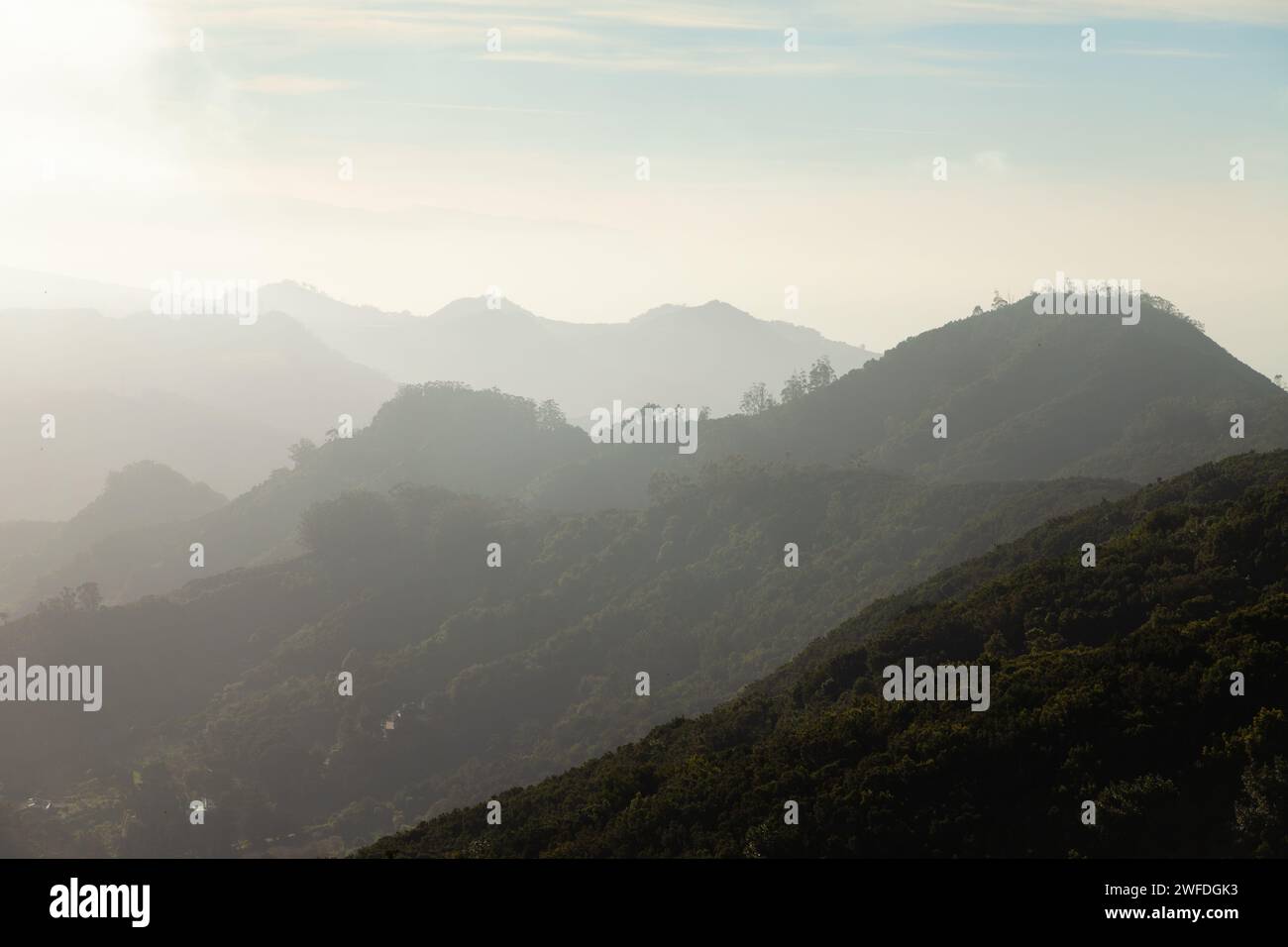 Chinamada Trail PR-TF 10 From Punta del Hidalgo into the Anaga Mountains, Tenerife , Spain Stock Photo