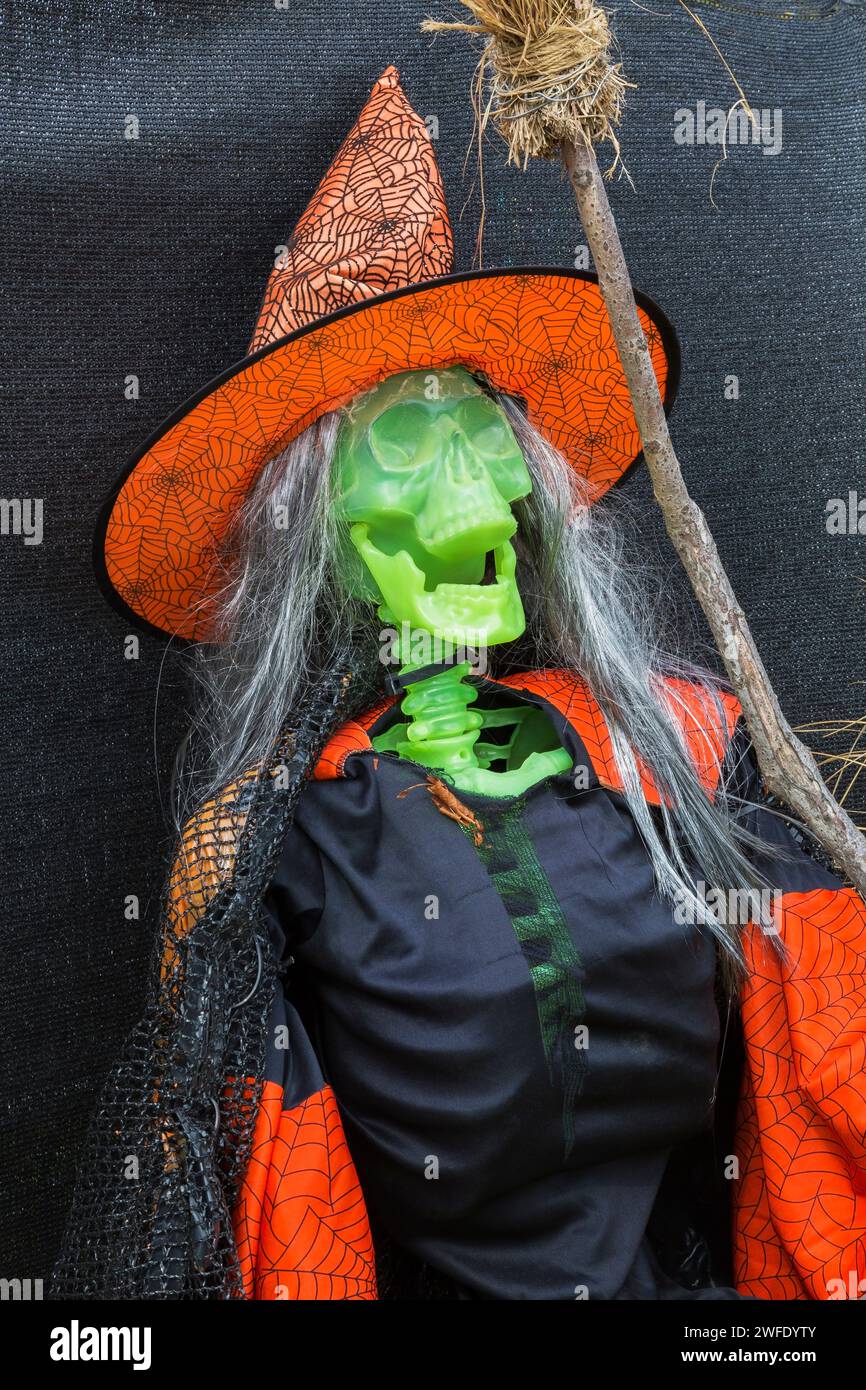 Halloween display of green plastic skeleton draped in black and orange witch's costume with pointed hat and broomstick. Stock Photo