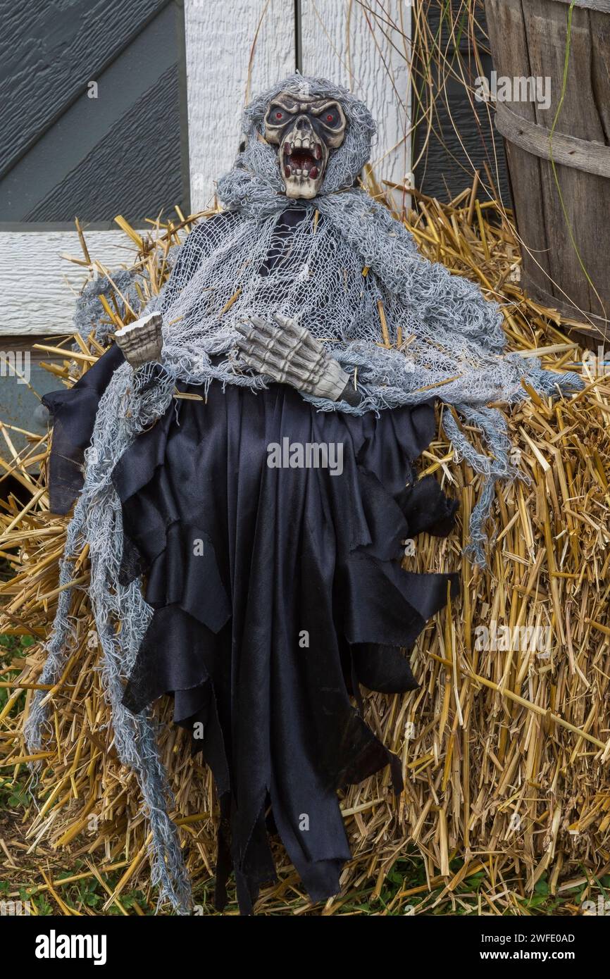 Skeleton draped in black cloth and grey fishnet costume at Halloween Stock  Photo - Alamy