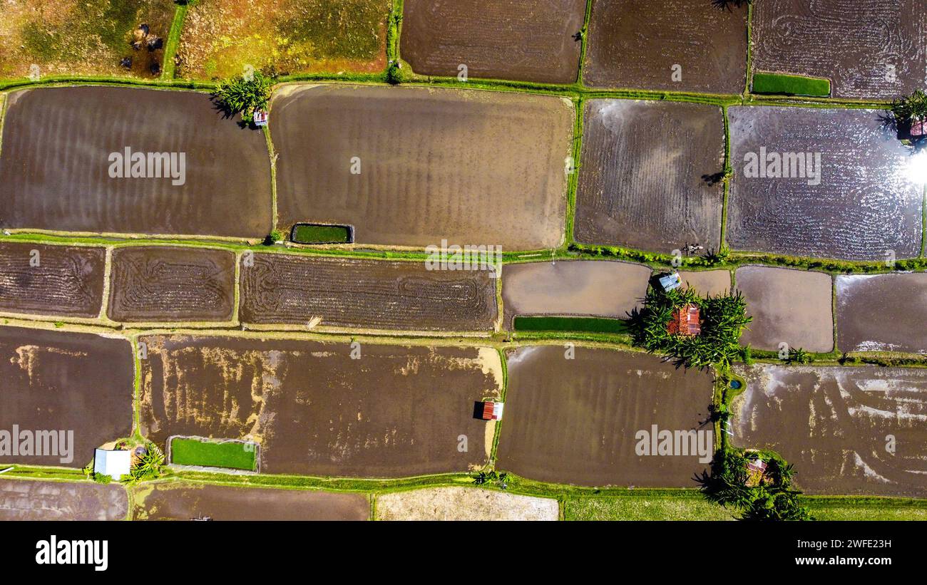 Aerial view of rice terraces of Bali Stock Photo - Alamy