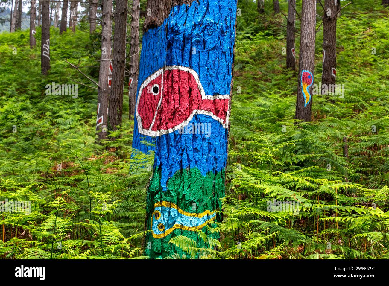 Oma Forest is a work of art by Agustin Ibarrola, a Basque sculptor and painter, in the natural reserve of Urdaibai, Oma, Vizcaya, Basque country Euska Stock Photo