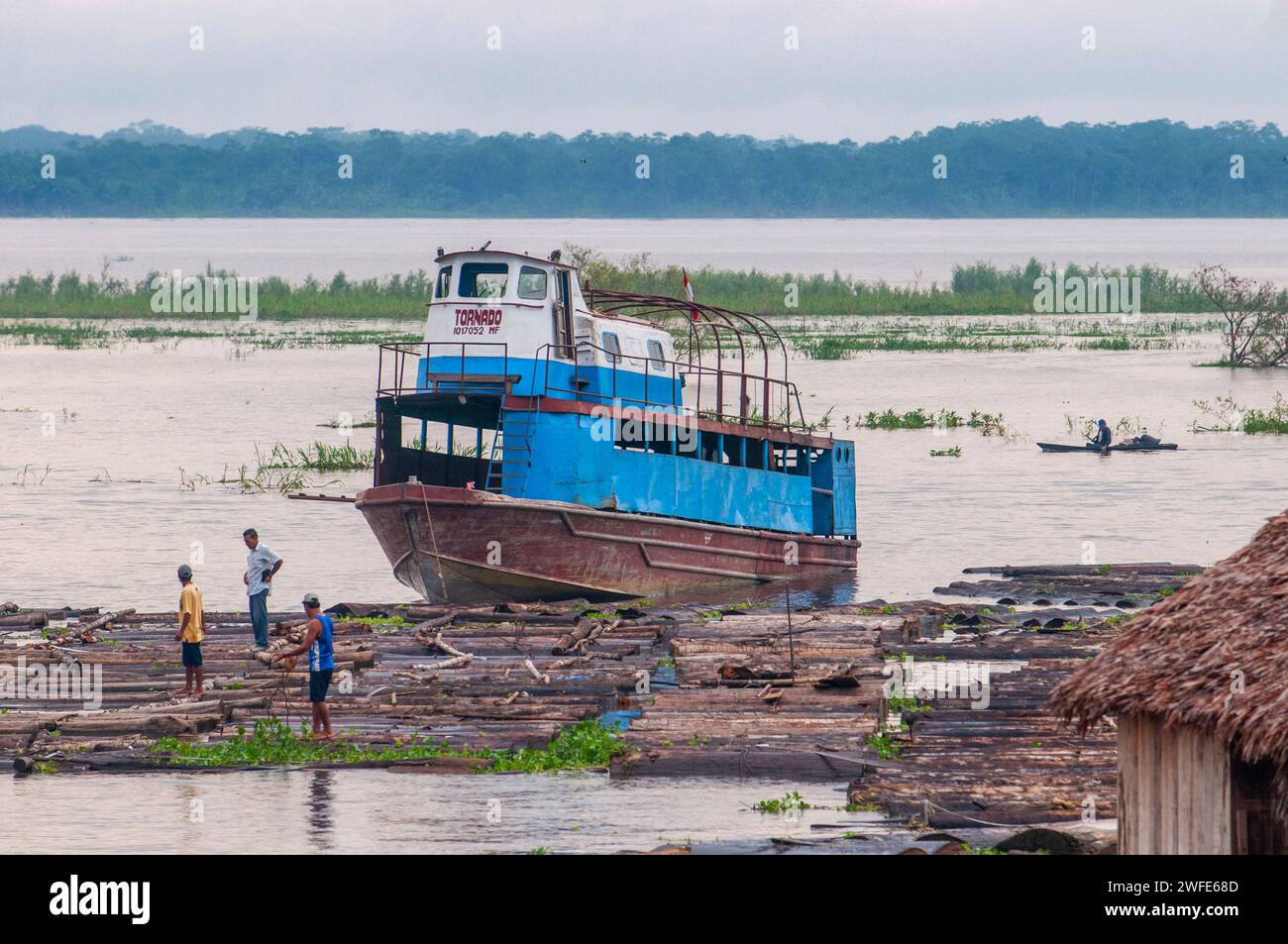 Boats transporting cut wood in the Amazon River, Iquitos, Loreto, Peru, South America.  It is surrounded by the Port of Iquitos, formed by the Amazon, Stock Photo