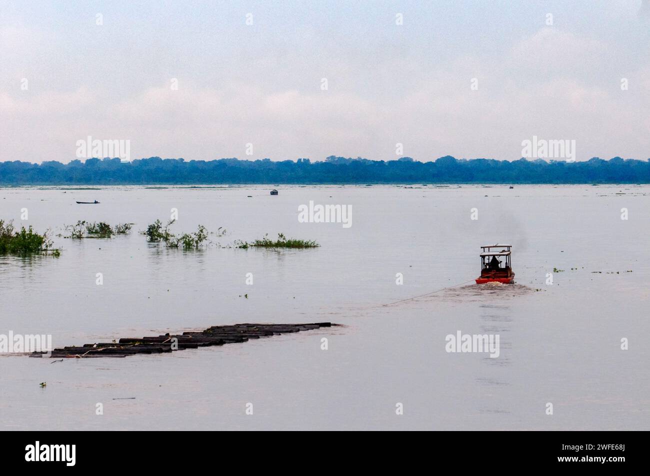 Boats transporting cut wood in the Amazon River, Iquitos, Loreto, Peru, South America.  It is surrounded by the Port of Iquitos, formed by the Amazon, Stock Photo