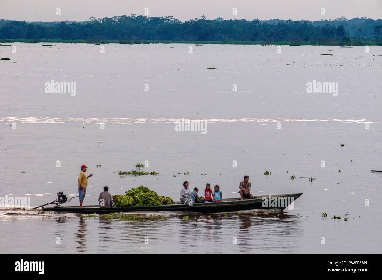 Boats carrying bananas in the Amazon River, Iquitos, Loreto, Peru, South America.  It is surrounded by the Port of Iquitos, formed by the Amazon, Nana Stock Photo