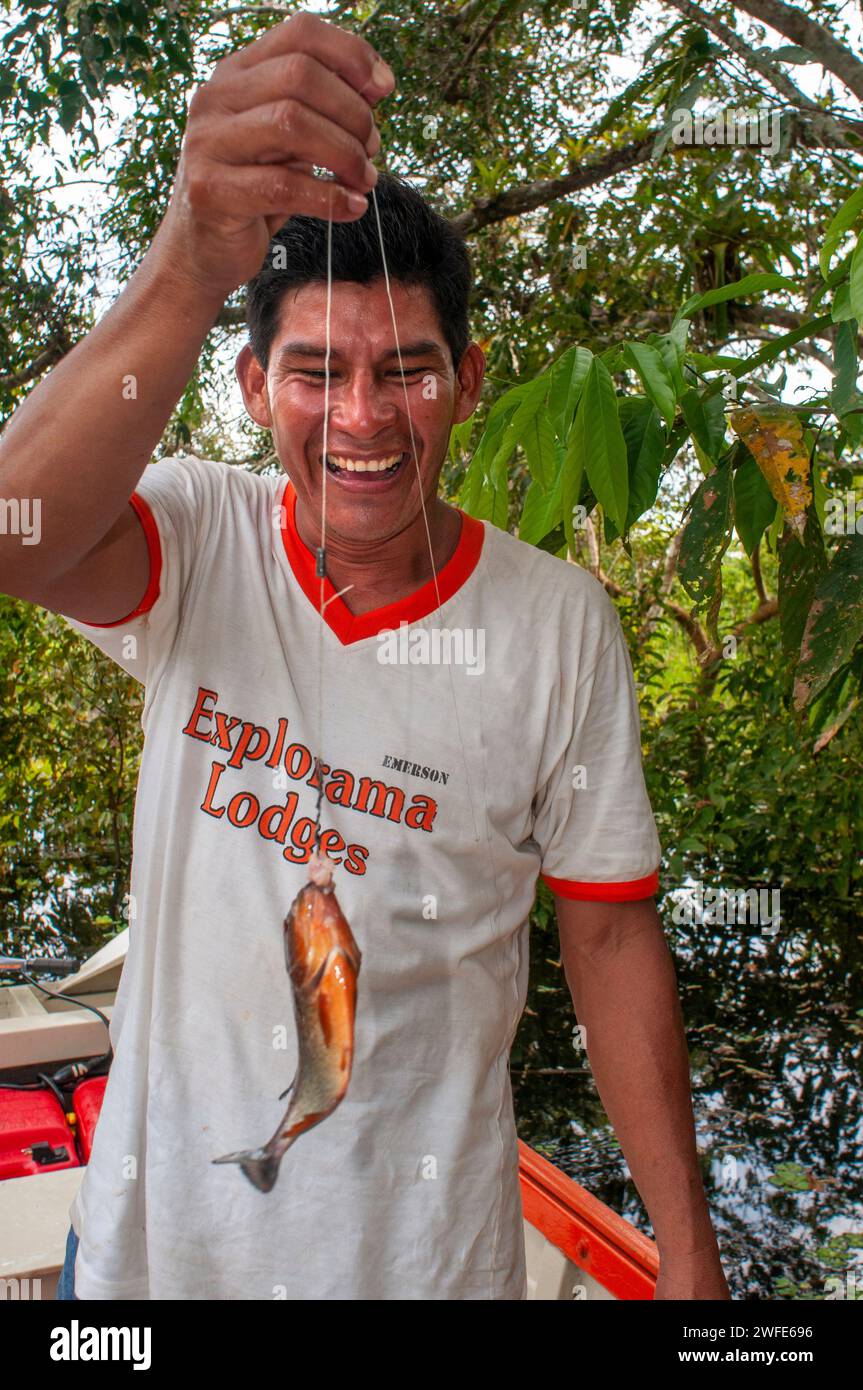 Pacaya Samiria Reserve Peru South - Pacaya Samiria Reserve Peru South America Man Showing The Sharp Teeth Of A Red Piranha Caught In The Ucayali River In The Amazon Basin 2WFE696