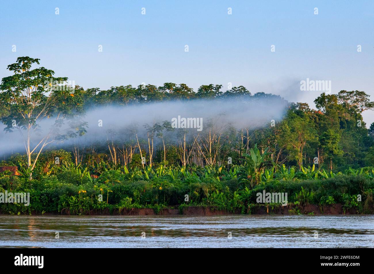 Beams of like passing through smoke in the Amazon Rainforest near ...
