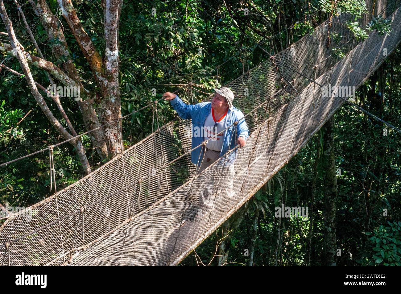 Elevated canopy walk hanging bridges. A rain forest canopy walkway in the Amazon forest tambopata national park, at the Inkaterra amazonica reserve. V Stock Photo
