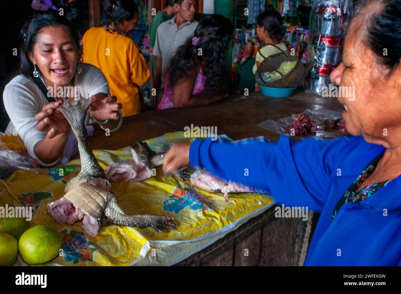 In the market town of Indiana you can buy alligator or crocodile meat, Iquitos, Loreto, Peru Stock Photo