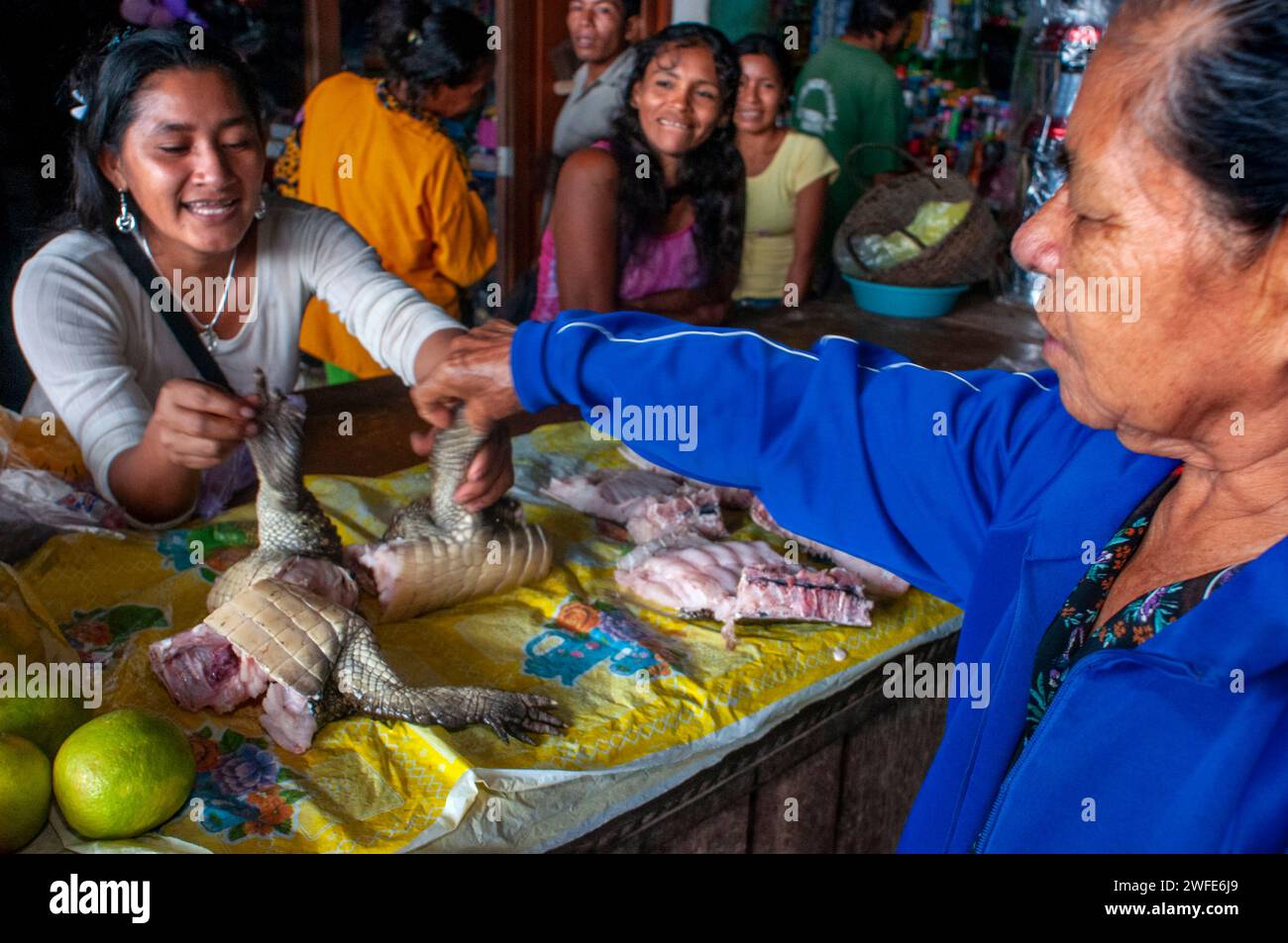 In the market town of Indiana you can buy alligator or crocodile meat, Iquitos, Loreto, Peru Stock Photo
