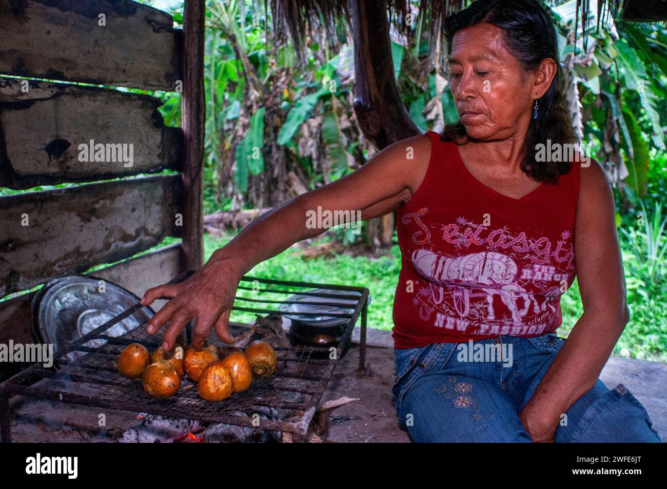 Woman preparing pijuayo palm fruit on fire traditional method in Timicuro I, Iqutios peruvian amazon, Loreto, Peru.  The pijuayo has been defined as t Stock Photo
