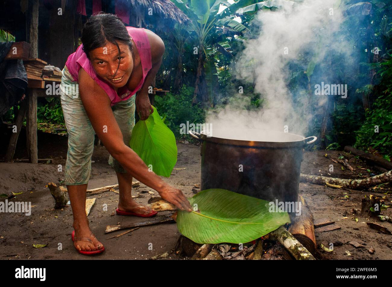 Woman preparing Juanes homemade corn and chicken tamales by traditional method in Timicuro I, Iqutios peruvian amazon, Loreto, Peru. Stock Photo