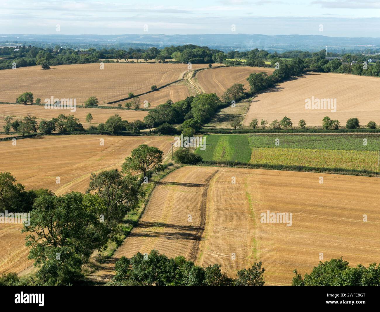 Leicestershire countryside with farm fields and tree lined hedgerow field boundaries in September, England, UK Stock Photo