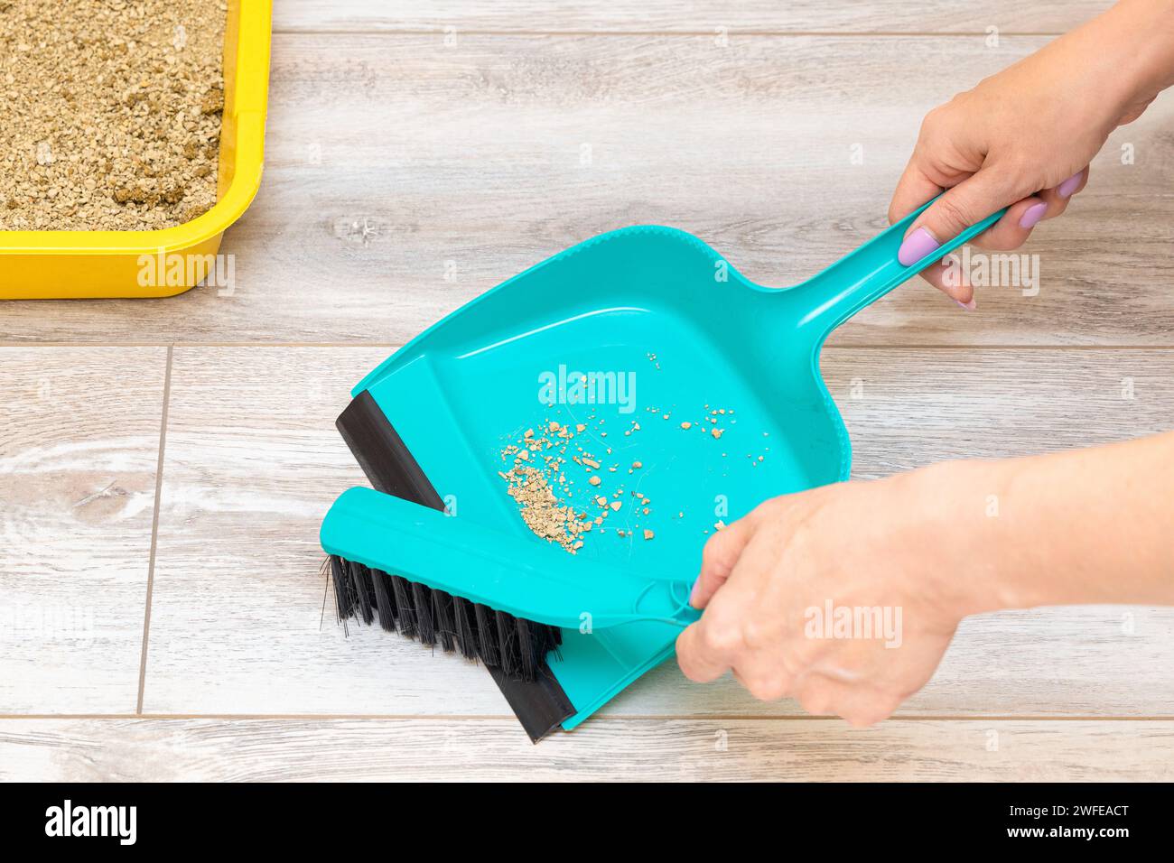 woman sweeping up cat litter from the floor. the cat spilled dry litter