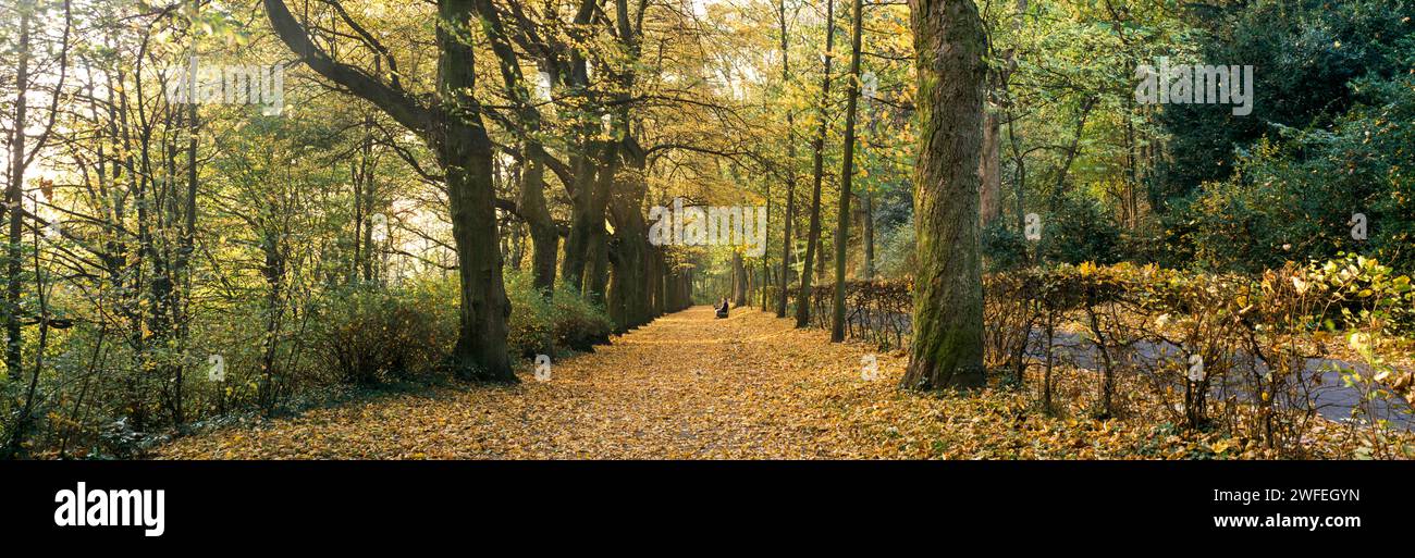 Autumn park path, Aachen, Germany Stock Photo Alamy