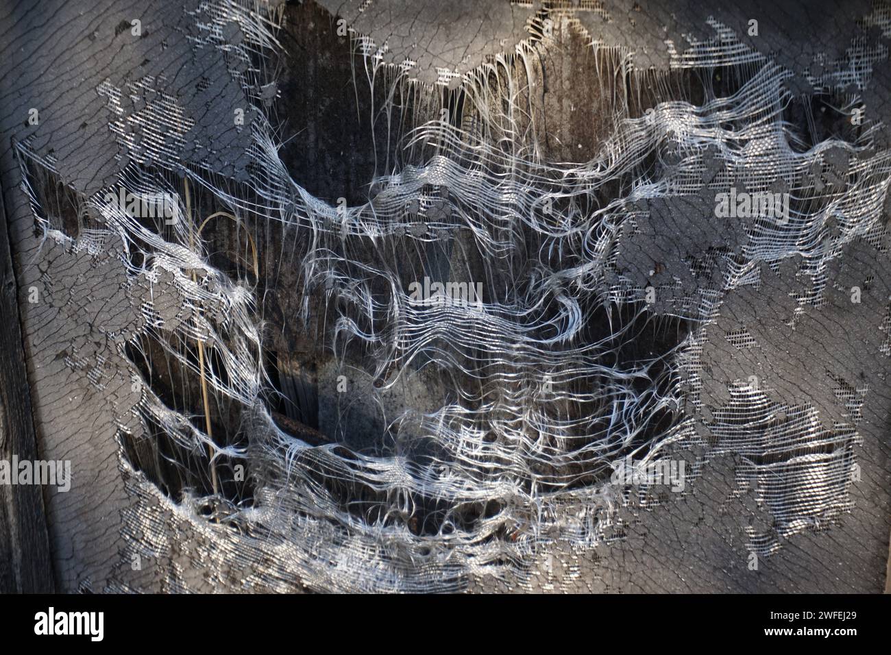 High Resolution Ripped Plactic funky texture of ripped plastic on a fence Stock Photo - Alamy