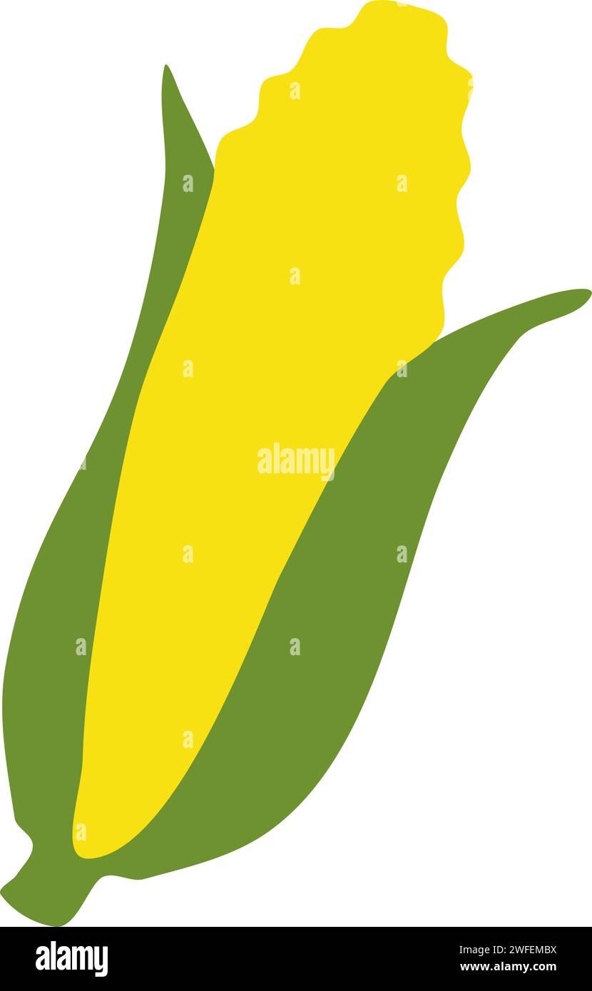 Ear of Sweetcorn Vector Illustration Stock Vector