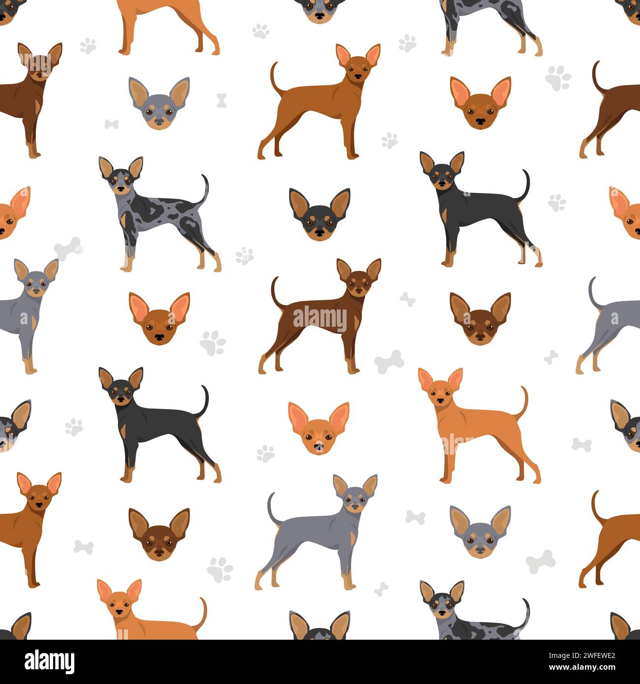 Prague Ratter seamless pattern. All coat colors set.  All dog breeds characteristics infographic. Vector illustration Stock Vector