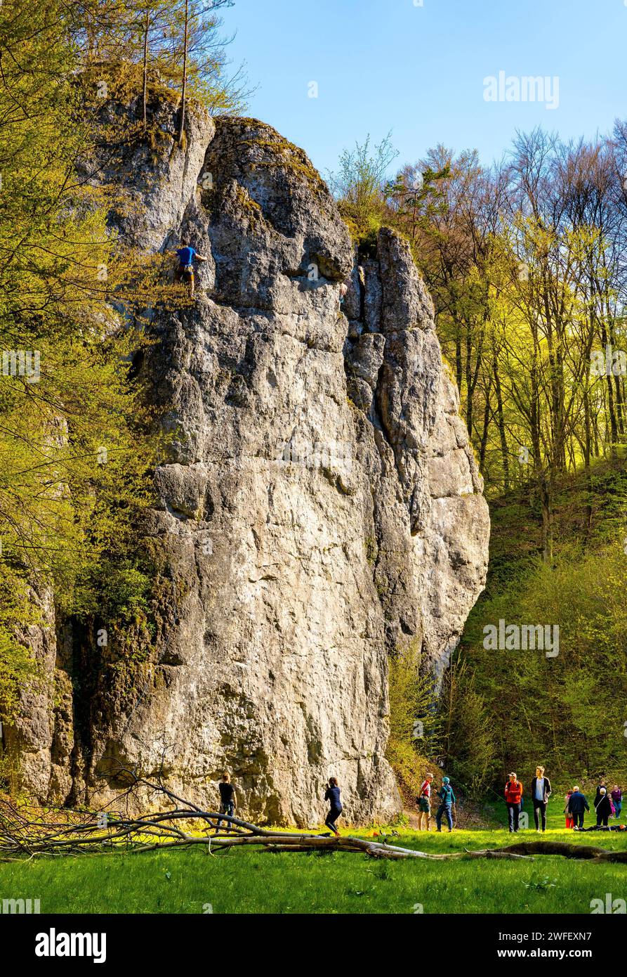 Dupa Slonia Bedkowska Baszta and Turnia Lipczynskiej limestone rock and climbing wall in Bedkowska Valley within Jura Krakowsko-Czestochowska upland n Stock Photo