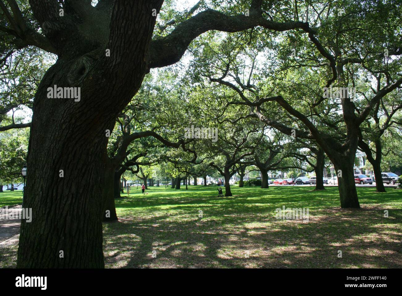 Charleston Battery beautiful grounds Stock Photo