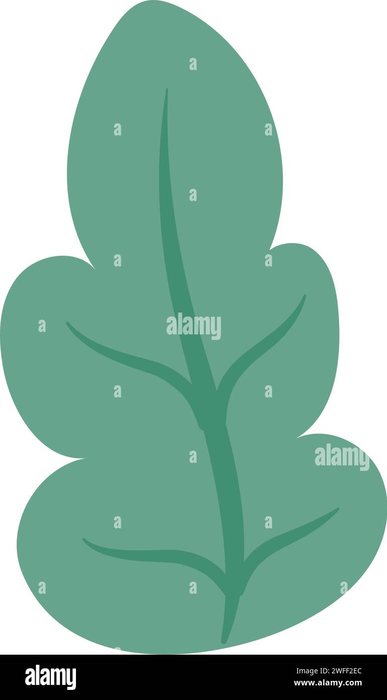 Isolated colored natural leaf icon Vector Stock Vector Image & Art - Alamy
