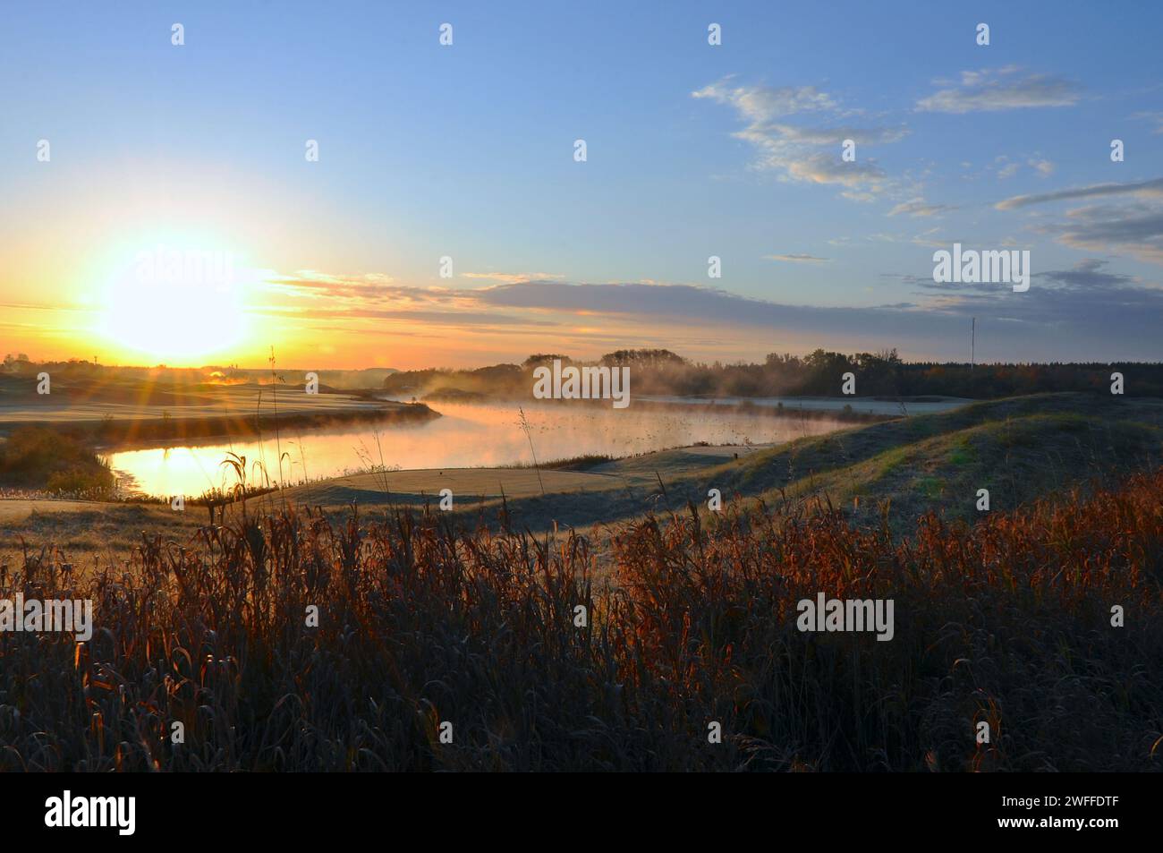 Sunrise in the golf course with mist and birds Stock Photo