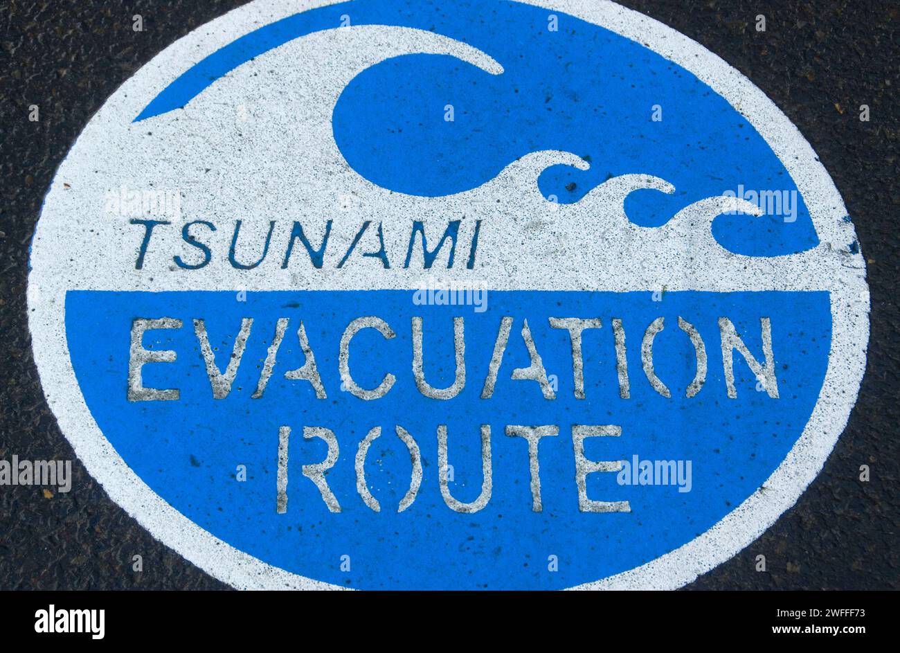Tsunami news oregon