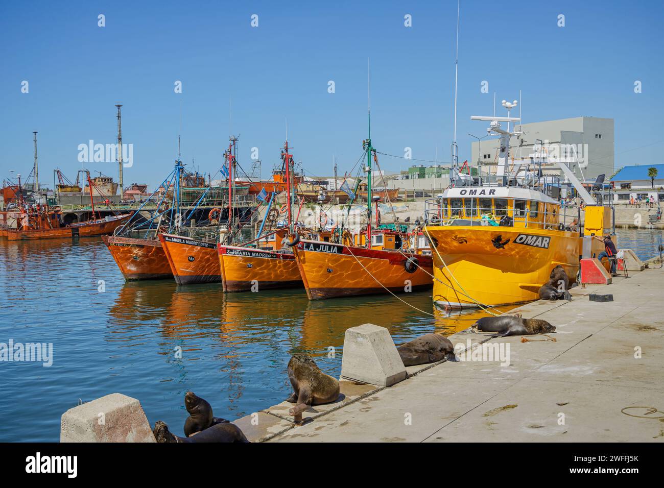 Mar del Plata, Argentina - January 15th, 2024: Fishing boats an sea lions in the port of Mar del Plata, Buenos Aires. Stock Photo