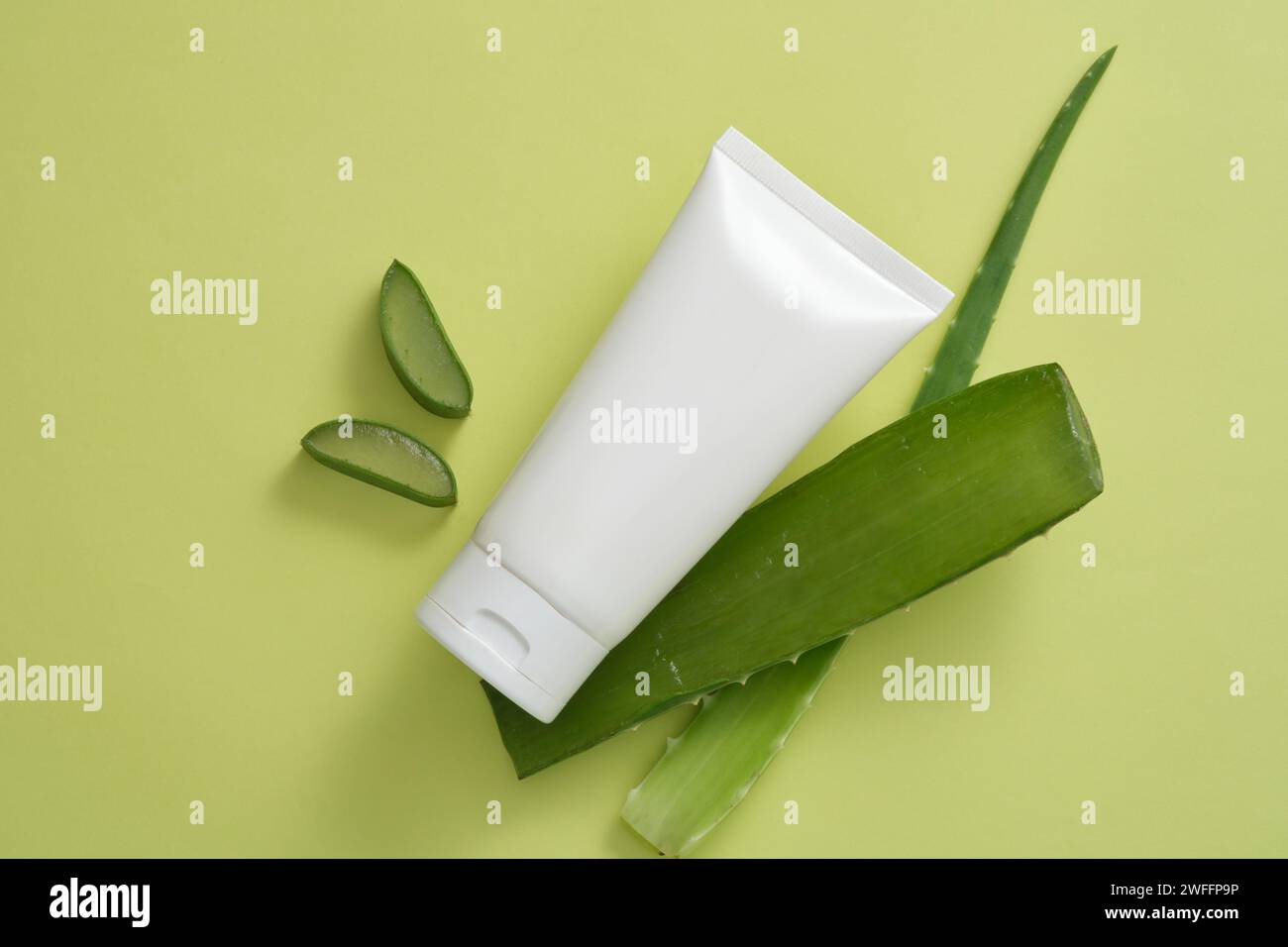 agave online kaufen Agave attenuata (Fox Tail Agave)