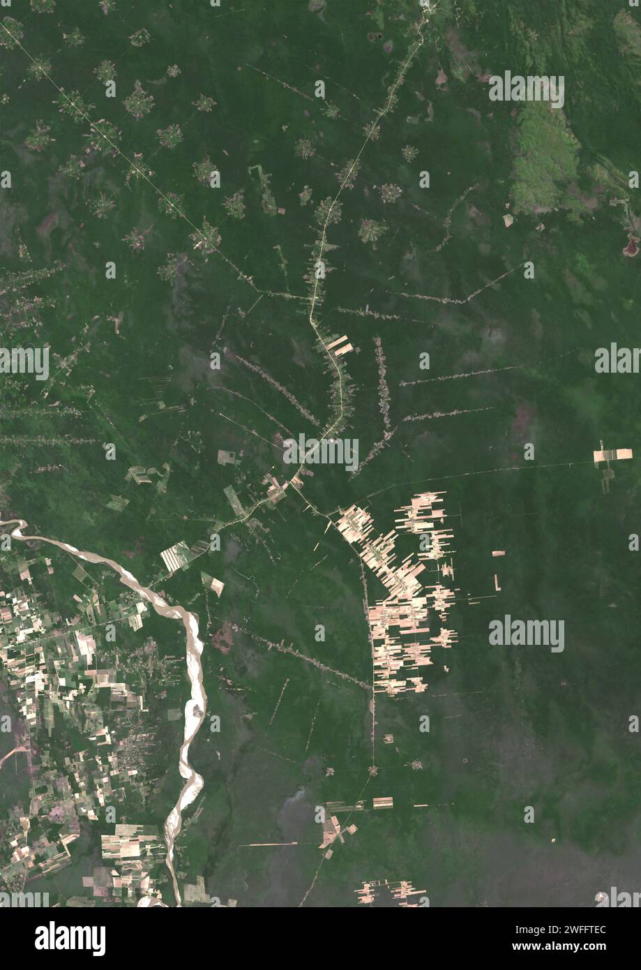 Deforestation in Bolivia in 1984, satellite image Stock Photo