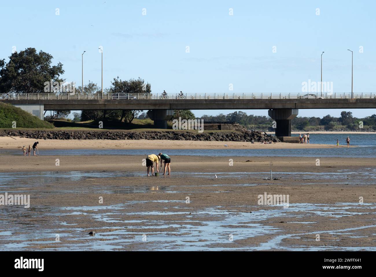 People pumping yabbies on riverbed at lowtide with Missingham Bridge in the background Stock Photo