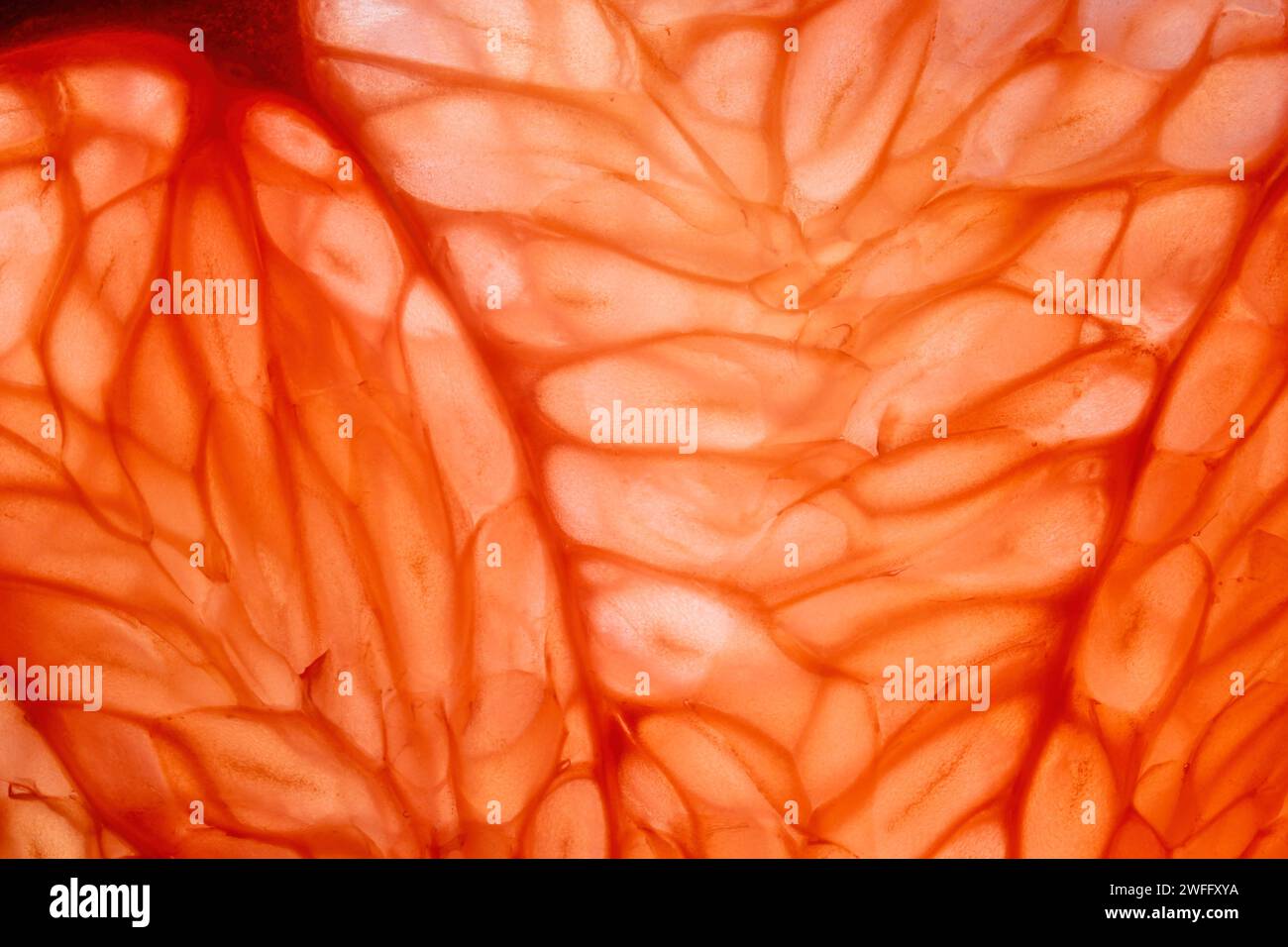 Elements of texture hi-res stock photography and images - Alamy