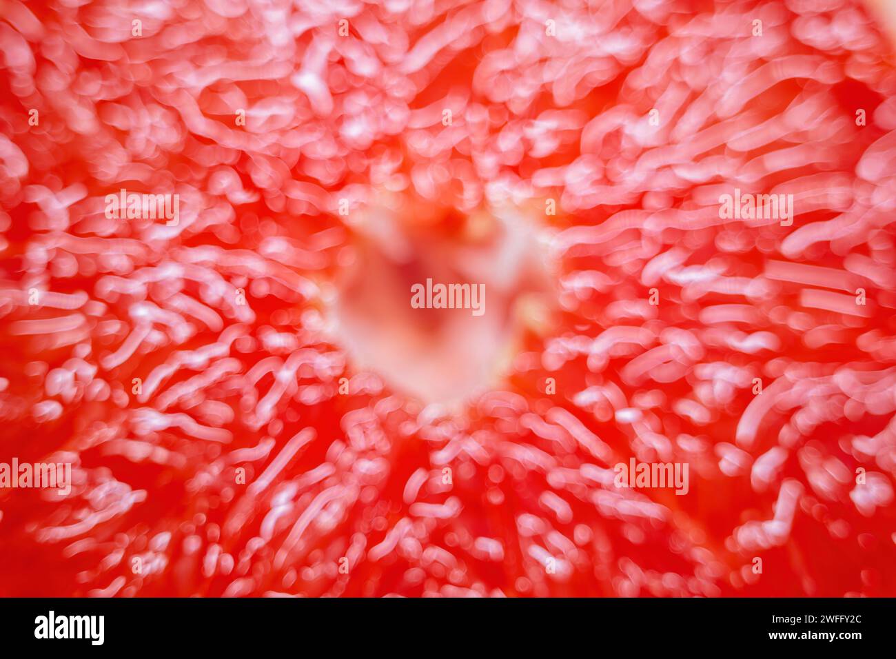 Elements of texture hi-res stock photography and images - Alamy