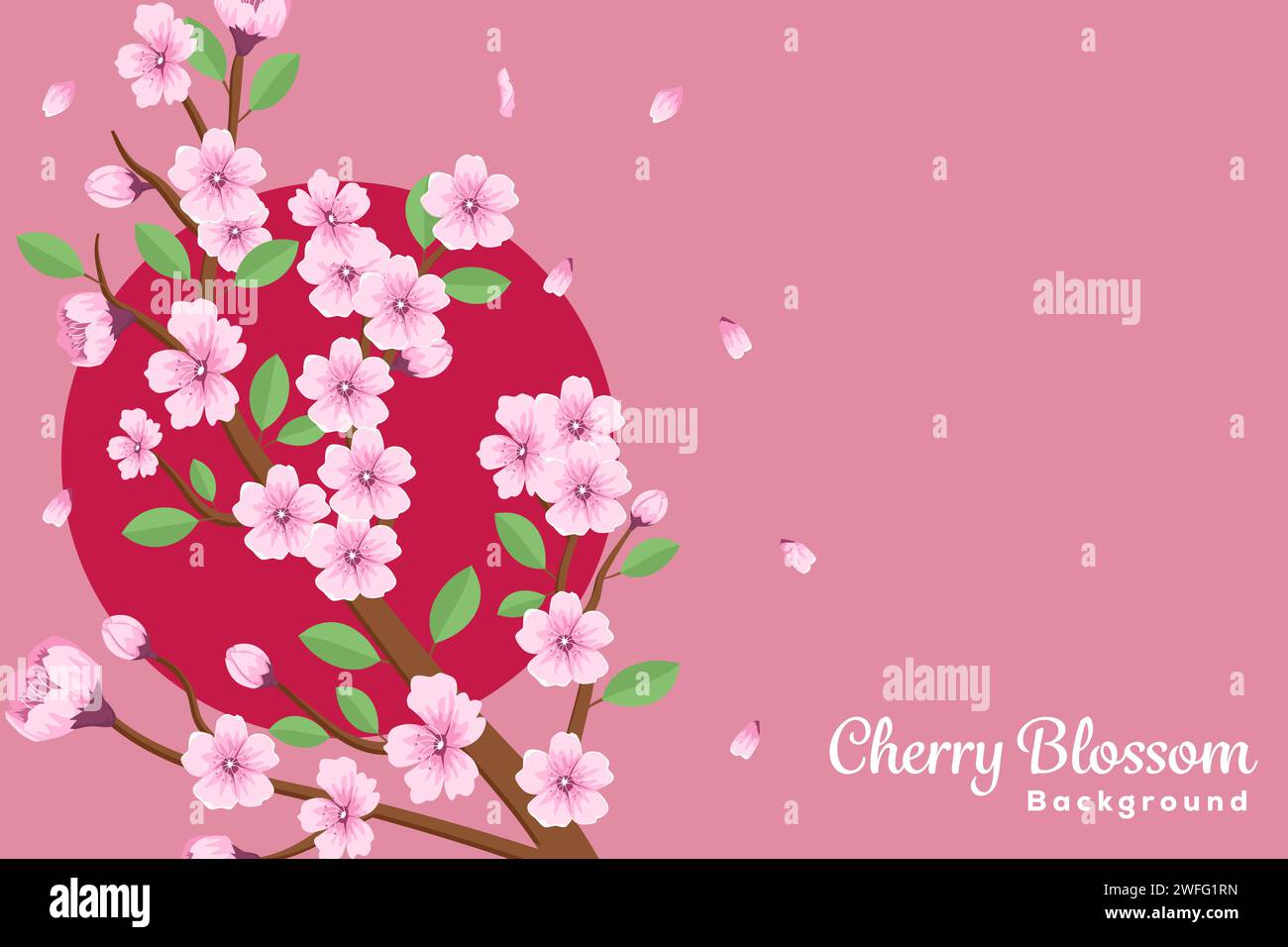 flat vector design cherry blossom background illustration with copy space area Stock Vector