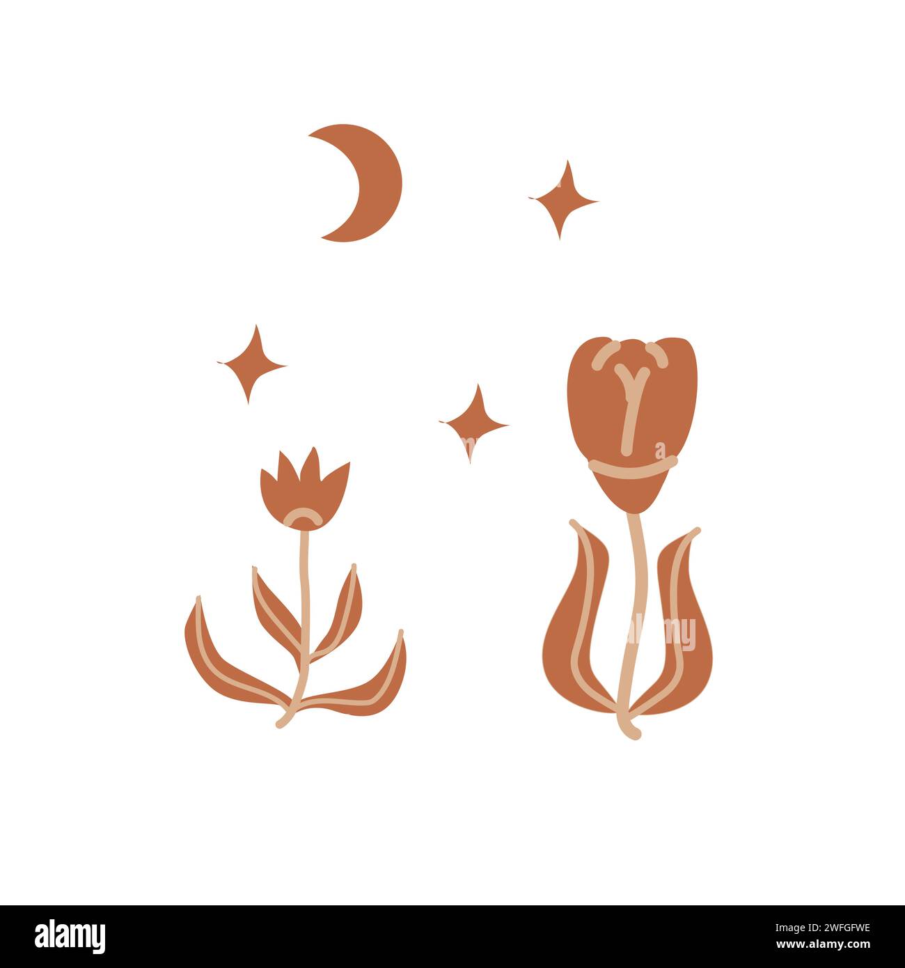 Hand drawn floral boho elements - flowers and moon, stars. Vector ...
