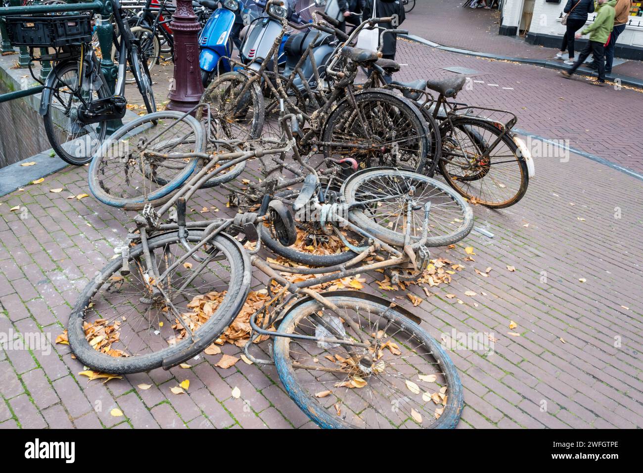 Abandoned bicycles dredged out of the Prinsengracht canal, Amsterdam. Stock Photo