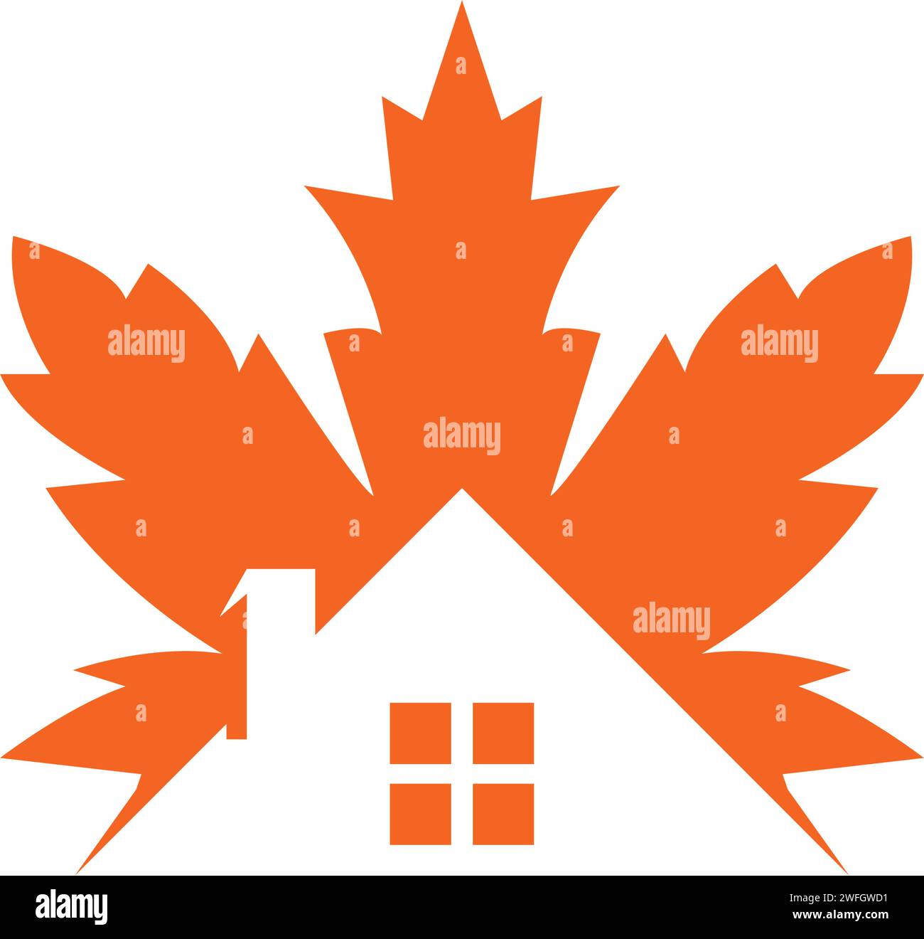 Maple Design Vector Maple leaf vector illustration design template Stock Vector Image & Art ...