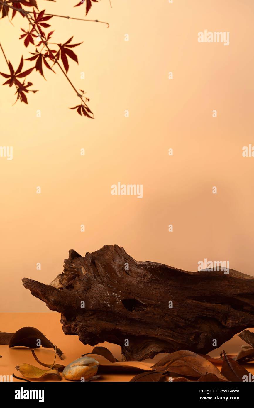 Product showcase backgrounds, product image background, photography ...