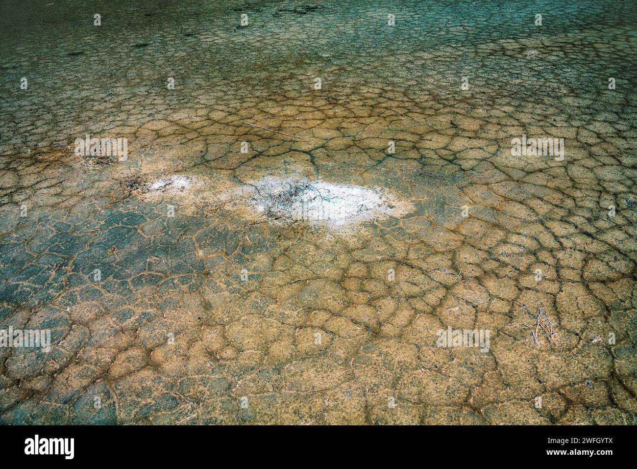 White alkali soil hires stock photography and images Alamy