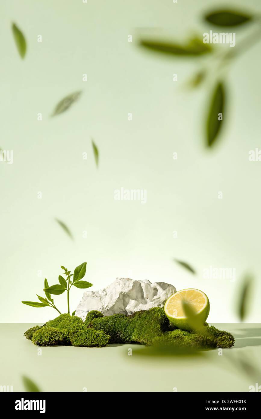 Product showcase backgrounds, product image background, photography ...