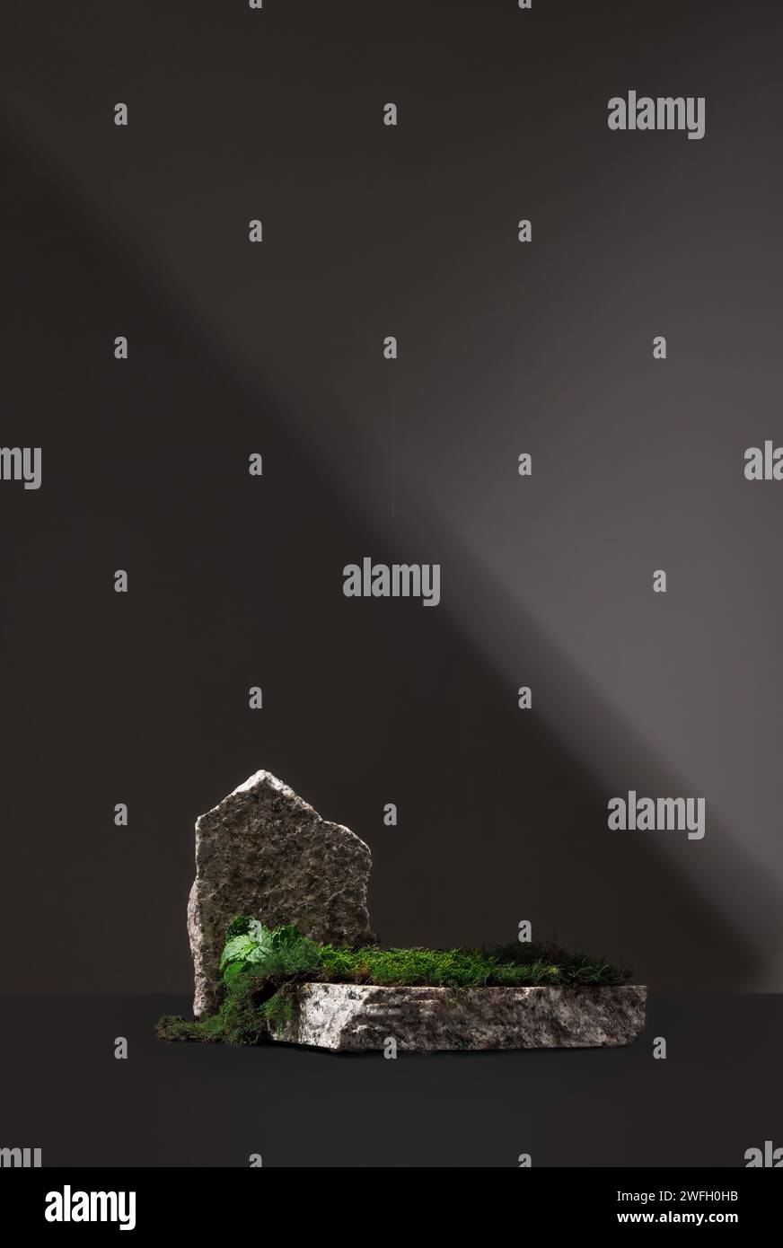 Product showcase backgrounds, product image background, photography ...